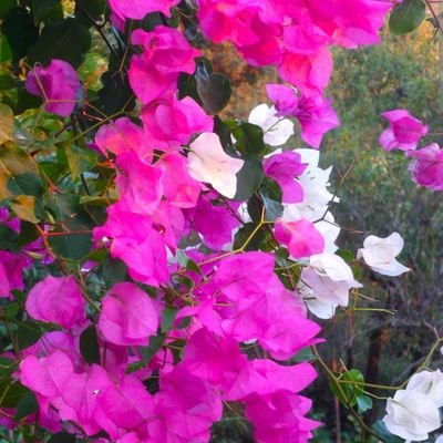 7201_mustafa_01's profile picture. 