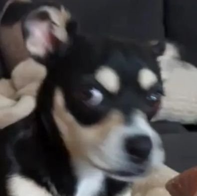 MucoRNG's profile picture. 