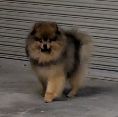 uaaanandeeeeeee's profile picture. ここはちちぷいに載せるにはなんともいえないものとかボツとかを投げるところです。