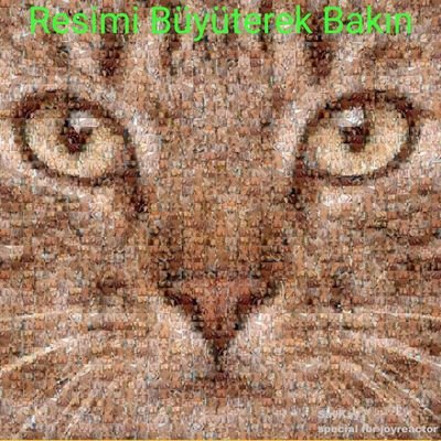 ugurcanal99's profile picture. kişisel Bilgiler