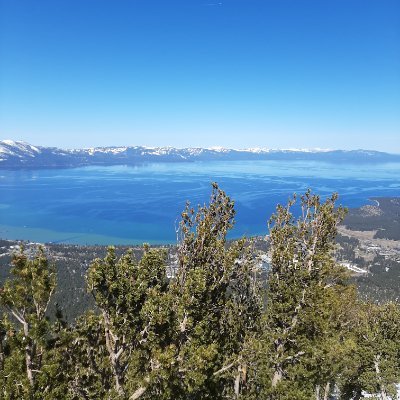 EyePenetrate123's profile picture. working at stealth startup. NDA NFA