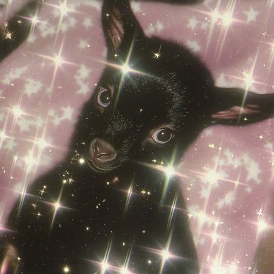 chxrrywxvwz's profile picture. 🇨🇺🇵🇸 🦇🍒cereja ondas