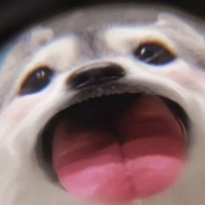 shahritesh07's profile picture. 