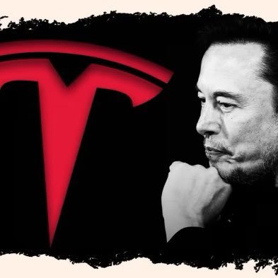 MrDoge0111's profile picture. 