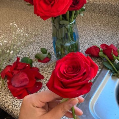 emma_susannn's profile picture. in love with nature