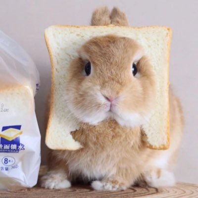 sdvxpanda's profile picture. 