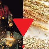 Albertogg149009's profile picture. 