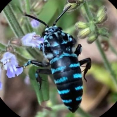 4g4njnby6q's profile picture. パパ大好きと言う6年生の女の子を妻に連れ去られた。 📌 家庭裁判所の矛盾・現状を発信 📌 虐待の証拠動画多数あり、だが魔女裁判で不利📌 子ども達の救出まで戦い続けます。