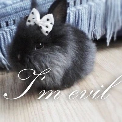 iredenscent's profile picture. 