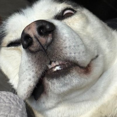 gabe_chris's profile picture. pop culture and urban planning crossover