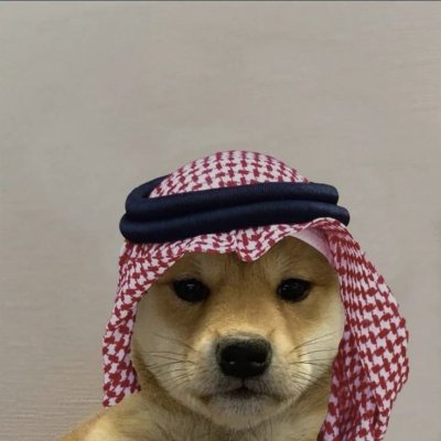 habibithedev's profile picture. Habibi • Streamer × Nurse
Building things. Fixing people. Learning always.