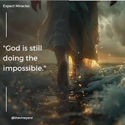 Ebrimajawo98450's profile picture. 