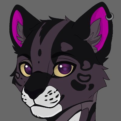 CloudCatUmbra's profile picture. 24 | USA GA | ✝️ | if it involves a board and high speed I’m in