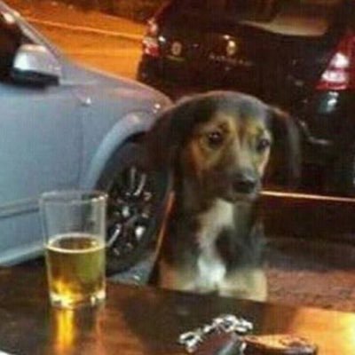 Mathgullo's profile picture. FFC.