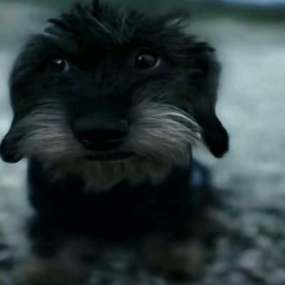 zph7356's profile picture. 18 yo