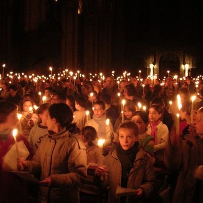 Sciclo1's profile picture. 