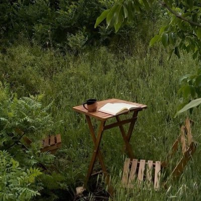 _GNatto's profile picture. 