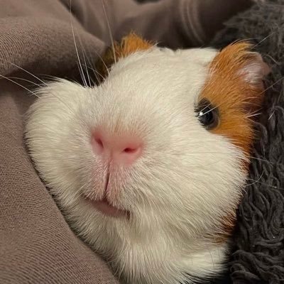 bijou_ging's profile picture. 나는 리듬타는 아빠지