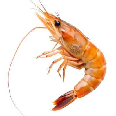 1bugcom1's profile picture. 인외줘 개끔찍하게 말아서 | 내할것들을함(잡덕) | 장르팔비추
multifandom | ⚠️suggestive art⚠️