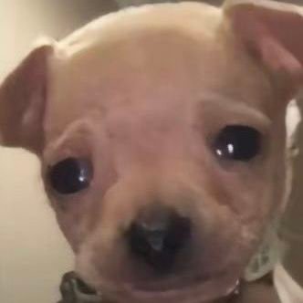 kii_wi_cup25's profile picture. 