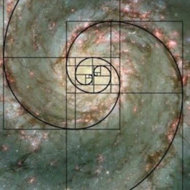 RS76gk85c4b's profile picture. student at UJ
Just a girl with big dreams 🤍✨