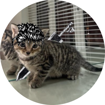 Karvxu_'s profile picture. 21 | @vAstrro