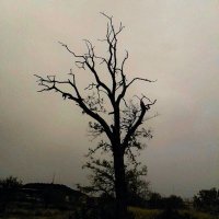 Lucy Visuals🖤📷 (@lucy_photos06) 's Twitter Profile Photo