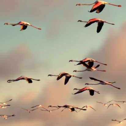 8v1v7's profile picture. 