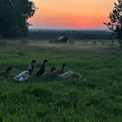 ldtkccmorgan's profile picture. Christ follower, American & Rugged Individualist 🇺🇸