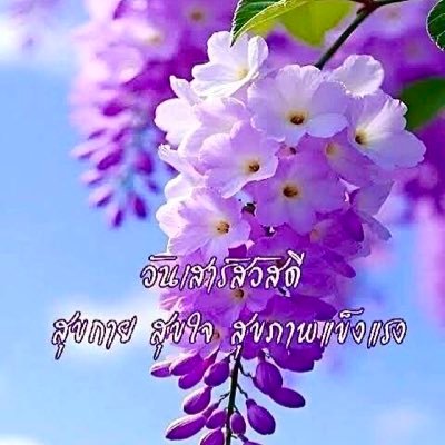 2516Thoss's profile picture. ผมอายุ 53 ..ชอบชาย ชอบคนแก่ ชอบรุ่นพ่อ รุ่นลุง