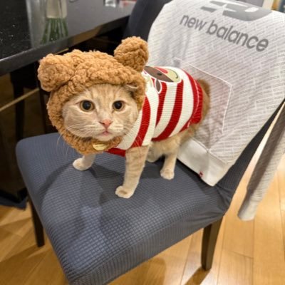 LaidanCS's profile picture. CS2 skin/cash trader. Always buying, selling, trading and middle man services