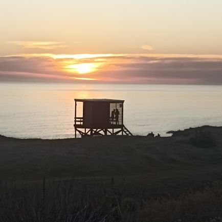 Luzdemoon1's profile picture. ¿Busca #APARTAMENTO #CASA  #comprar, #vender o #invertir en #Montevideo ? 

#inmobiliaria + #arquitectura
+25 años en plaza   +(598) 99609863 Consúltenos!