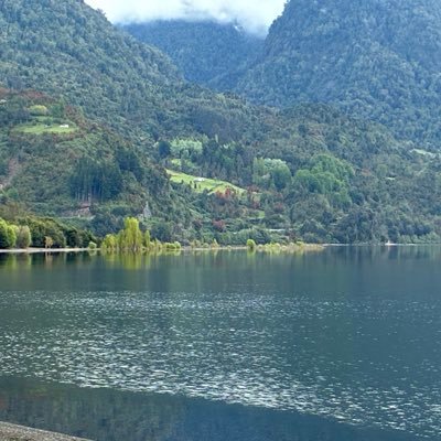 luisbetogutierr's profile picture. nacimos para servir . no tiene sentido la vida . si no es así !