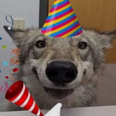 v33nomz's profile picture. NSFW/ 18+/ here to giggle and retweet