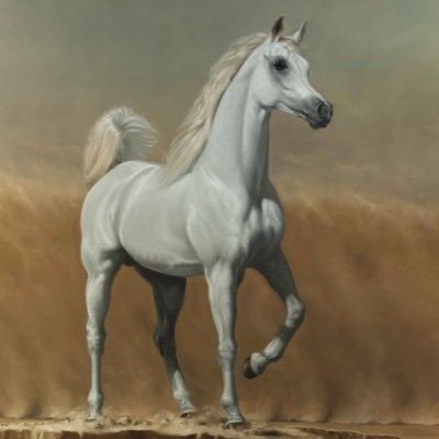 someoneinSAUDI's profile picture. 