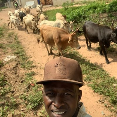 demba48755's profile picture. 