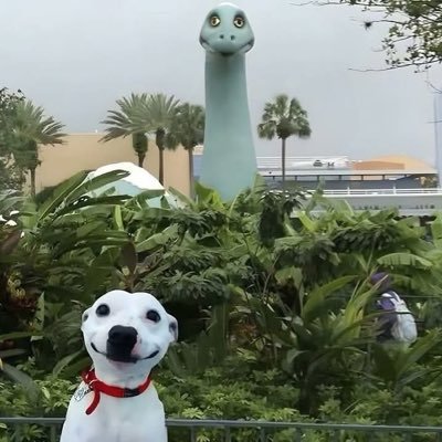 MilianoRaya's profile picture. 