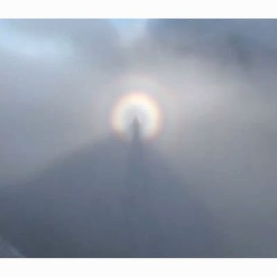 shalomao8253's profile picture. 