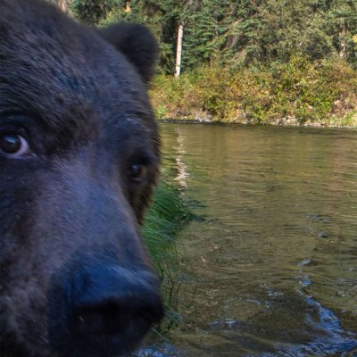 debarunlahiri21's profile picture. Just living. Founder of Summit Codeworks