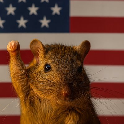 olotruthspeaker's profile picture. “Fight evil, get in the arena” Charlie Kirk (1993-2025) ✝️🇺🇸