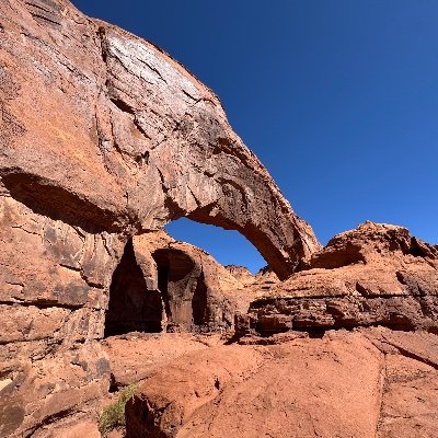 ess_bee_3's profile picture. Democracy First