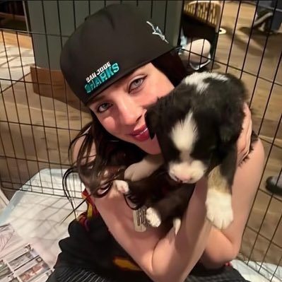 angelswitft's profile picture. Resting between petals