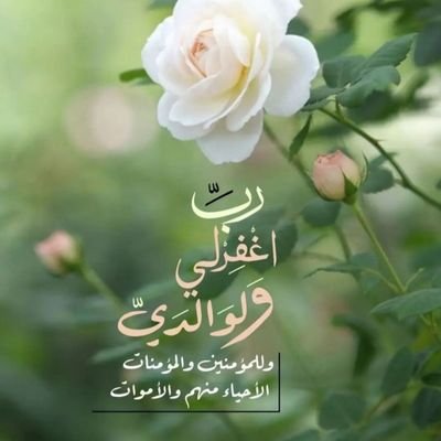 umAhmed832's profile picture. 