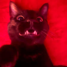 FrozzyBanana's profile picture. My Discord is Praxain

other account gone