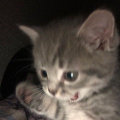 hujisawa_waa's profile picture. 藤沢✩.*˚Xもコスも初心者🔰なんですけど仲良くしてください!