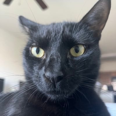 theeeebrick's profile picture. 