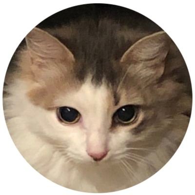 00SarahBear00's profile picture. Today may be the best you'll ever feel again, so enjoy every second.