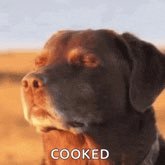 MessingerP5341's profile picture. Hi! I am Piper || fan of fpe and LNUL || minor || girl || warning on my arts sometimes: blood, gore, cringe and idk