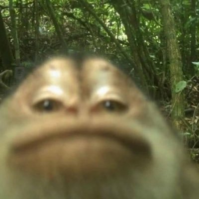 beatherblue's profile picture. 19m Horny posting from the most vanilla guy u know 🔞 minors not welcome,