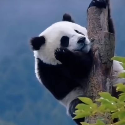 zdp9666's profile picture. Ordinary but not mediocre
注册顶峰交易👉
https://t.co/AFNpxLl3GG